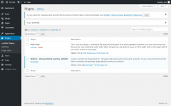 Page screenshot: Plugins &lsaquo; Test site &mdash; WordPress