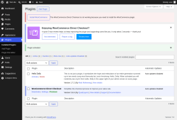 Page screenshot: Plugins &lsaquo; Test site &mdash; WordPress