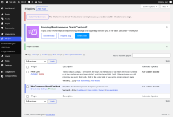 Page screenshot: Plugins &lsaquo; Test site &mdash; WordPress