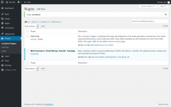 Page screenshot: Plugins ‹ Test site — WordPress