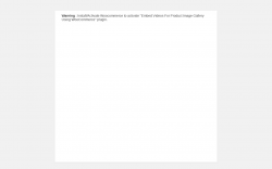 Page screenshot: WordPress › Error