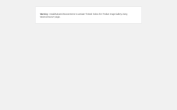 Page screenshot: WordPress › Error