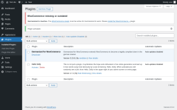 Page screenshot: Plugins &lsaquo; Test site &mdash; WordPress