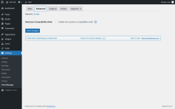 Page screenshot: Settings &rarr; Pixel Manager &rarr; Advanced