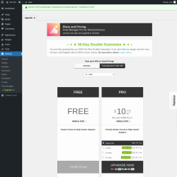 Page screenshot: Settings &rarr; Pixel Manager &rarr; Upgrade&nbsp;&nbsp;➤