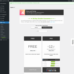 Page screenshot: Settings &rarr; Pixel Manager &rarr; Upgrade&nbsp;&nbsp;➤