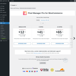 Page screenshot: Settings → Pixel Manager → Upgrade  ➤