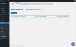 Page screenshot: Settings → Pixel Manager → Advanced