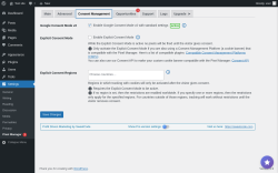 Page screenshot: Settings &rarr; Pixel Manager  &rarr; Consent Management