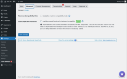 Page screenshot: Settings &rarr; Pixel Manager  &rarr; Advanced