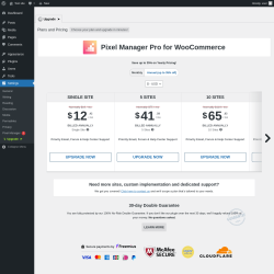Page screenshot: Settings &rarr; Pixel Manager  &rarr; Upgrade&nbsp;&nbsp;➤