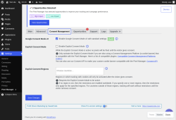 Page screenshot: Settings &rarr; Pixel Manager  &rarr; Consent Management