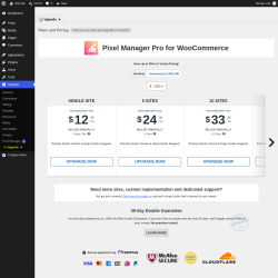 Page screenshot: Settings &rarr; Pixel Manager  &rarr; Upgrade&nbsp;&nbsp;➤