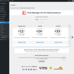 Page screenshot: Settings &rarr; Pixel Manager  &rarr; Upgrade&nbsp;&nbsp;➤