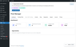 Page screenshot: Settings &rarr; Pixel Manager 