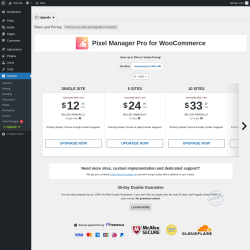 Page screenshot: Settings &rarr; Pixel Manager  &rarr; Upgrade&nbsp;&nbsp;➤