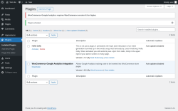 Page screenshot: Plugins &lsaquo; Test site &mdash; WordPress