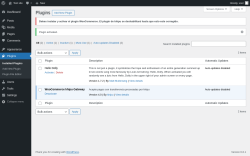 Page screenshot: Plugins ‹ Test site — WordPress