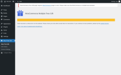Page screenshot: Woo Free Gift