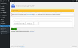 Page screenshot: Woo Free Gift → Gift Criteria
