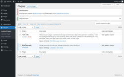 Page screenshot: Plugins &lsaquo; Test site &mdash; WordPress