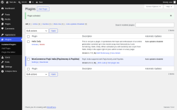 Page screenshot: Plugins &lsaquo; Test site &mdash; WordPress