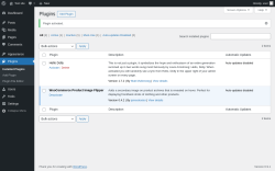 Page screenshot: Plugins &lsaquo; Test site &mdash; WordPress