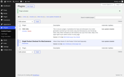 Page screenshot: Plugins &lsaquo; Test site &mdash; WordPress