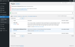 Page screenshot: Plugins &lsaquo; Test site &mdash; WordPress