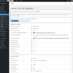 Page screenshot: WooCommerce → Status
