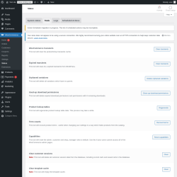 Page screenshot: WooCommerce → Status → Tools