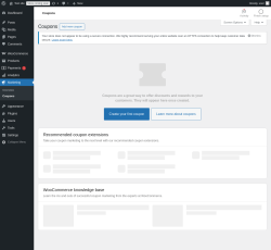 Page screenshot: WooCommerce → Coupons