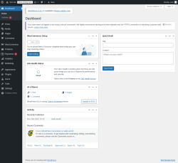 Page screenshot: Dashboard ‹ Test site — WordPress