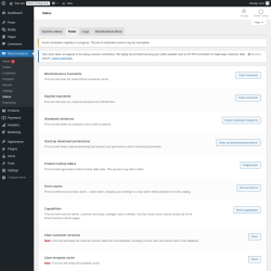 Page screenshot: WooCommerce → Status → Tools