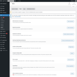 Page screenshot: WooCommerce → Status → Tools