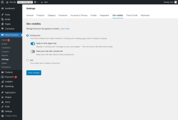 Page screenshot: WooCommerce → Settings → Site visibility