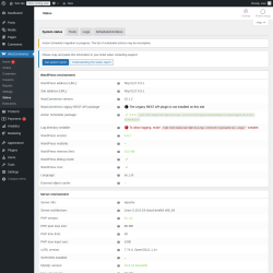 Page screenshot: WooCommerce → Status