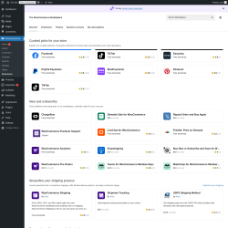 Page screenshot: WooCommerce → Extensions 