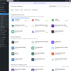 Page screenshot: WooCommerce → Extensions 