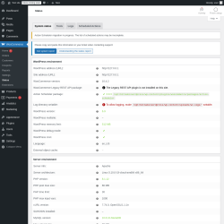 Page screenshot: WooCommerce &rarr; Status