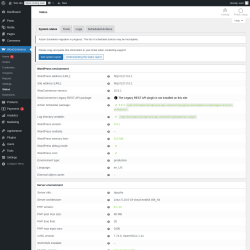 Page screenshot: WooCommerce &rarr; Status