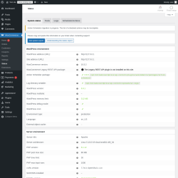 Page screenshot: WooCommerce &rarr; Status