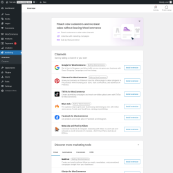 Page screenshot: Marketing