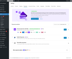 Page screenshot: Payments 