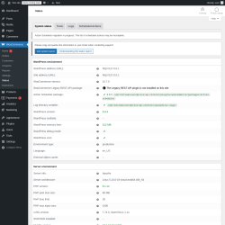 Page screenshot: WooCommerce &rarr; Status