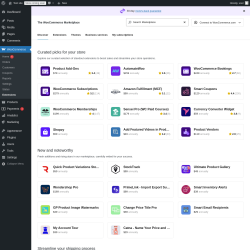 Page screenshot: WooCommerce &rarr; Extensions 
