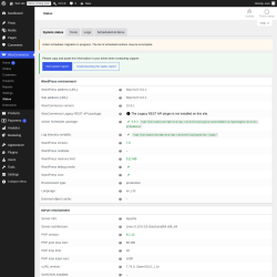 Page screenshot: WooCommerce &rarr; Status