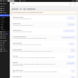 Page screenshot: WooCommerce &rarr; Status &rarr; Tools