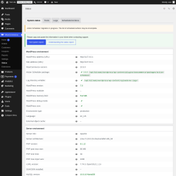 Page screenshot: WooCommerce &rarr; Status