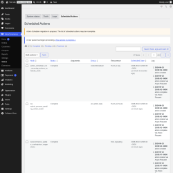Page screenshot: WooCommerce &rarr; Status &rarr; Scheduled Actions